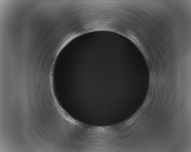 X0000078270814200611101106
