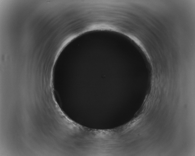 X0000078270815200611101106