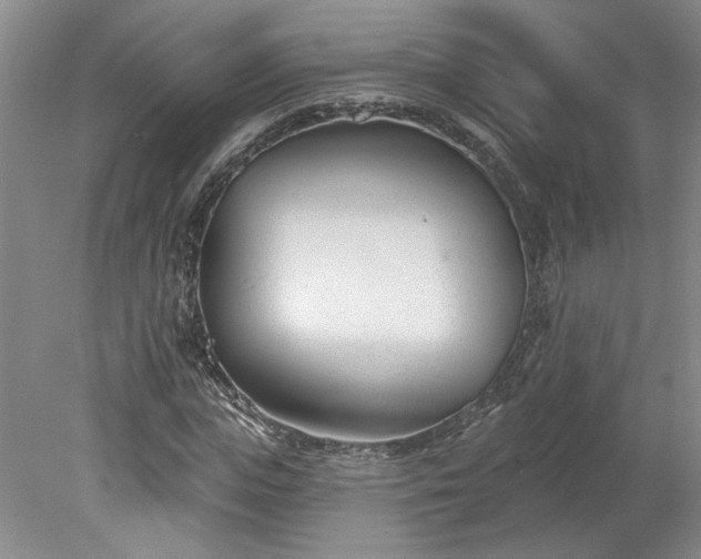 X0000078270823200611101105