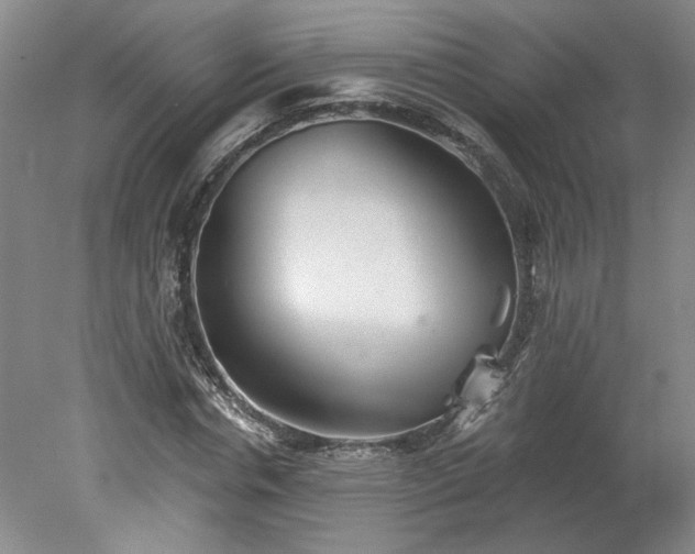 X0000078270826200611101105