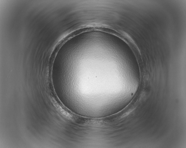 X0000078270831200611101105