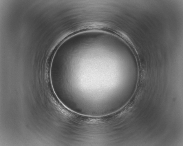 X0000078270835200611101105
