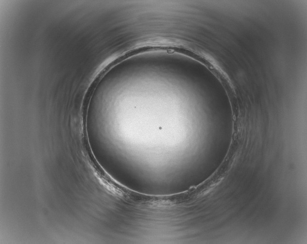 X0000078270837200611101105