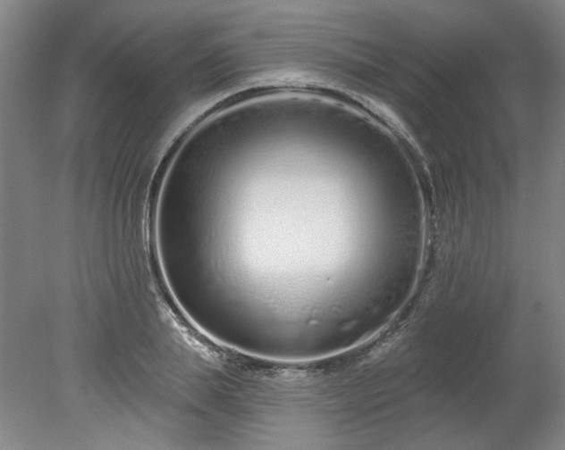 X0000078270839200611101105