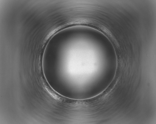 X0000078270842200611101105