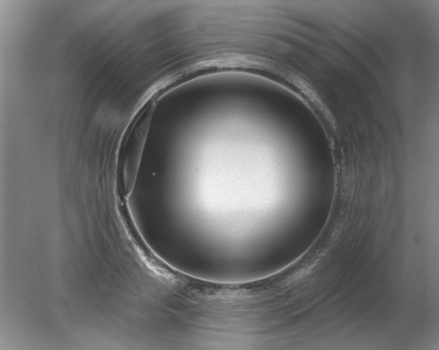 X0000078270845200611101105