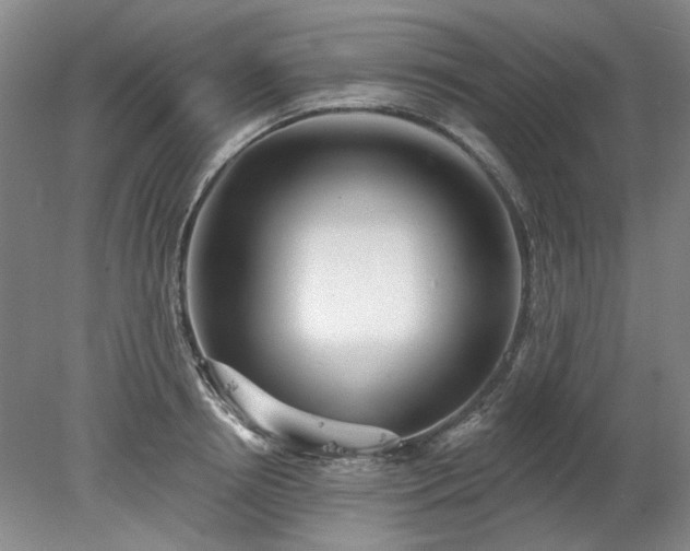 X0000078270850200611101106