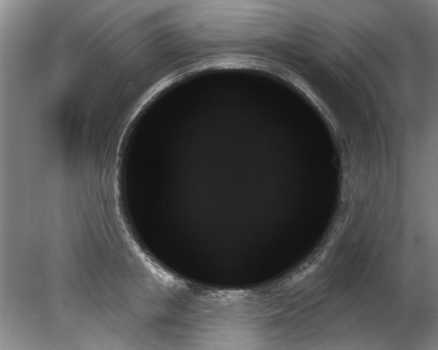 X0000078270853200611101106