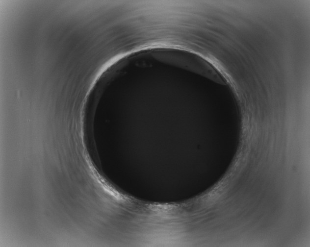 X0000078270854200611101106