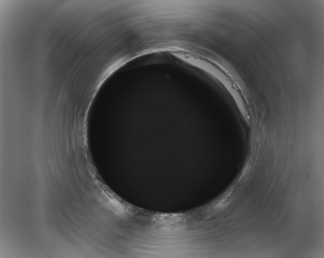 X0000078270858200611101106