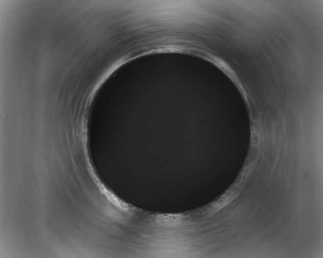 X0000078270859200611101106