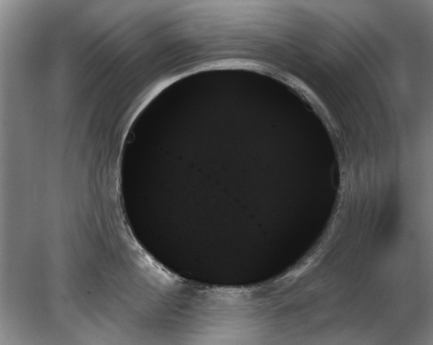 X0000078270860200611101106