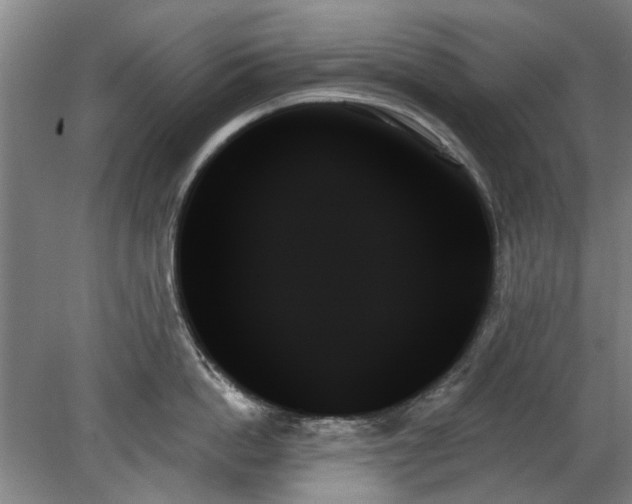 X0000078270862200611101106