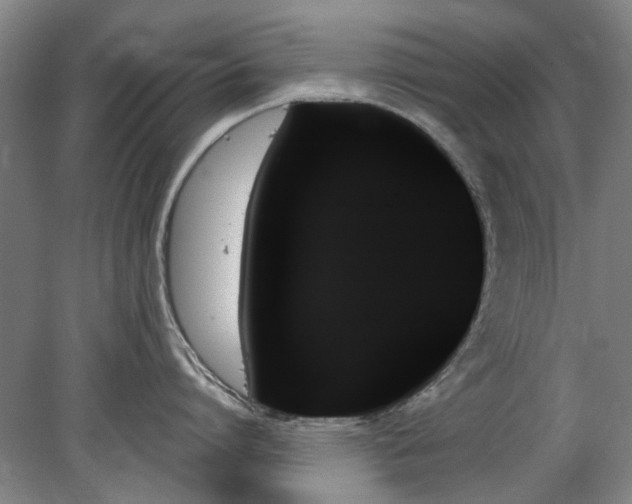 X0000078270864200611101106