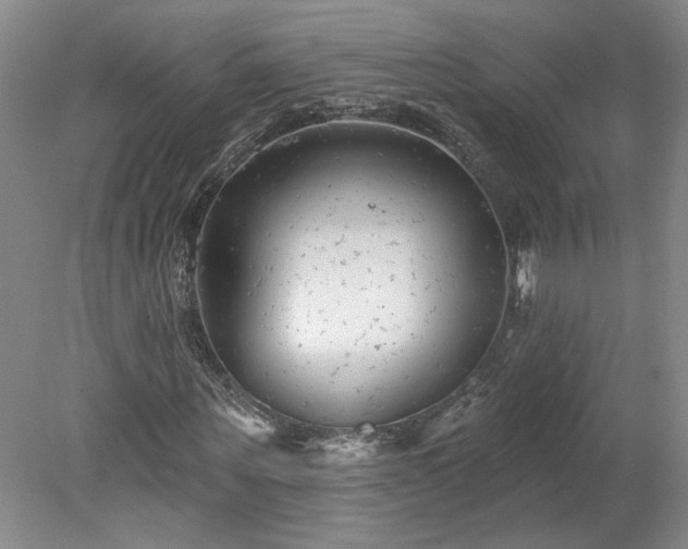X0000078270867200611101105