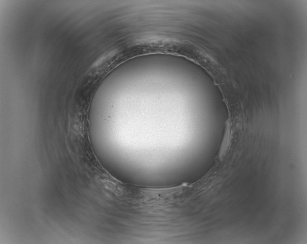 X0000078270869200611101105