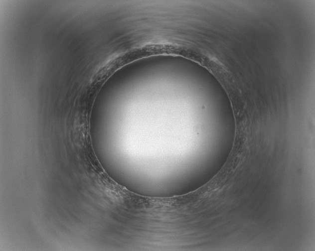 X0000078270870200611101105