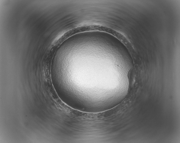 X0000078270871200611101105