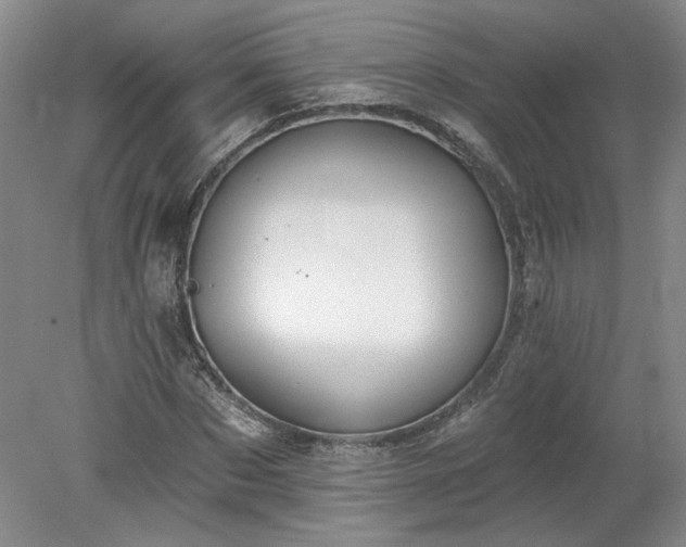 X0000078270873200611101105
