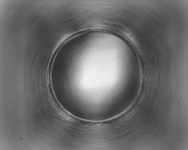 X0000078270891200611101105