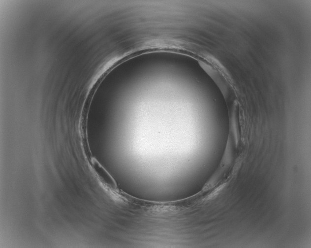 X0000078270893200611101104