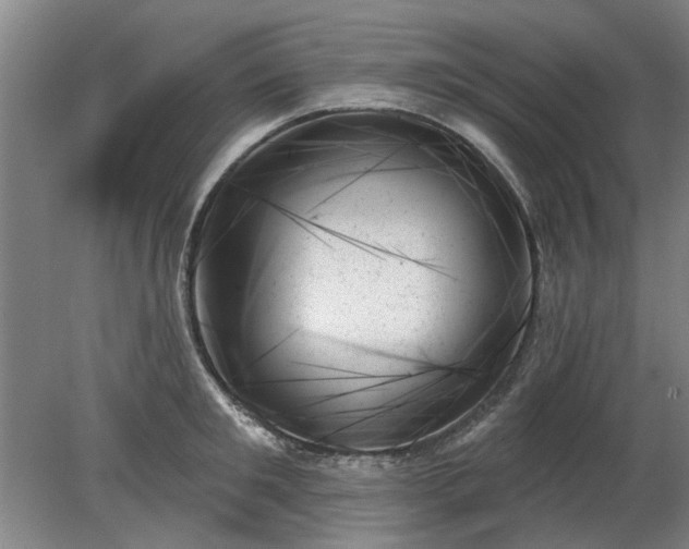 X0000078270901200611101104