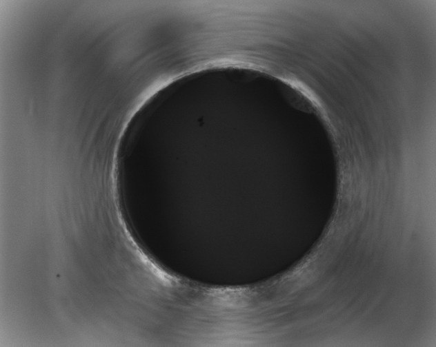 X0000078270902200611101104