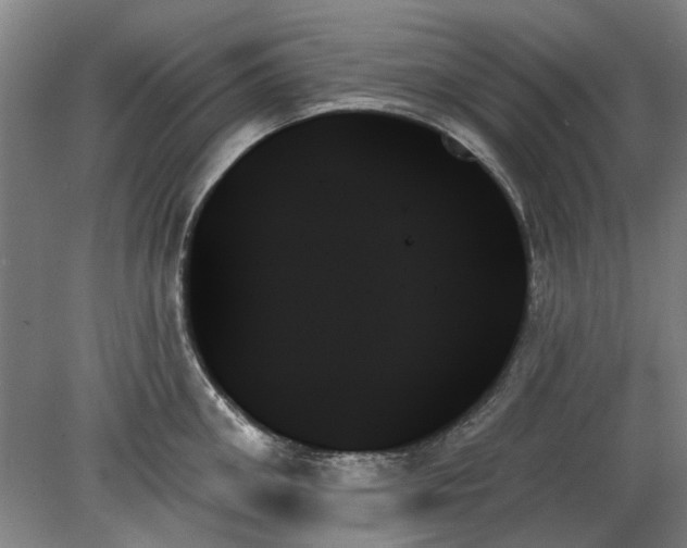 X0000078270906200611101104