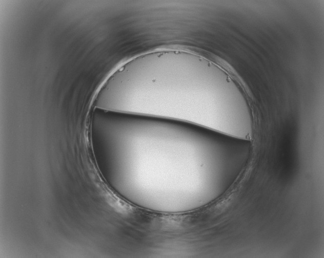 X0000078270908200611101104