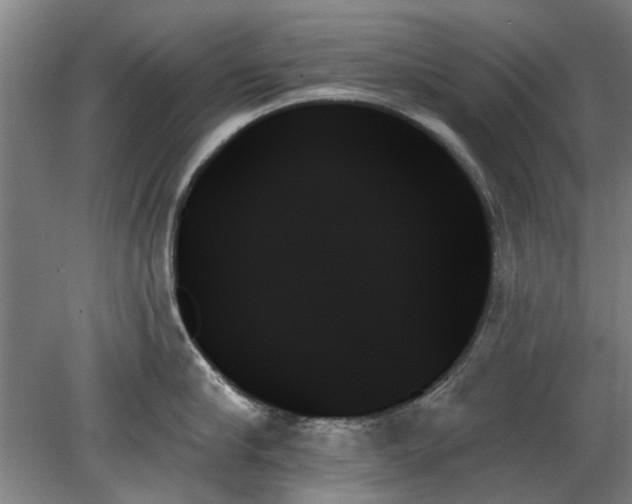 X0000078270910200611101104