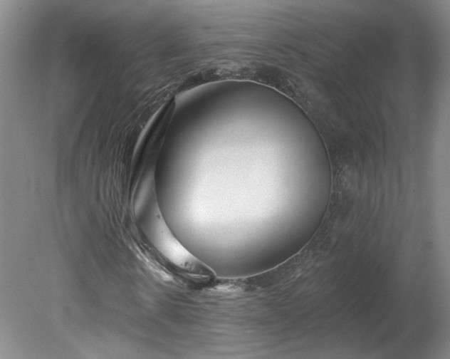 X0000078270914200611101103