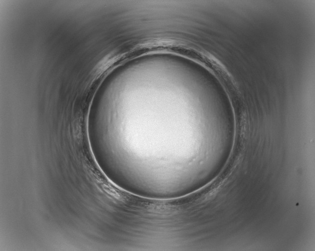 X0000078270921200611101103