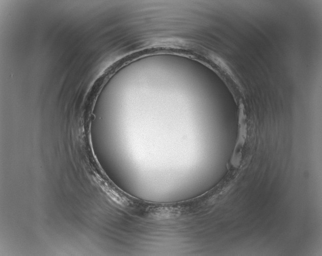 X0000078270923200611101104