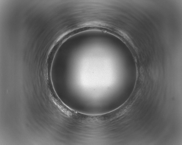 X0000078270931200611101104