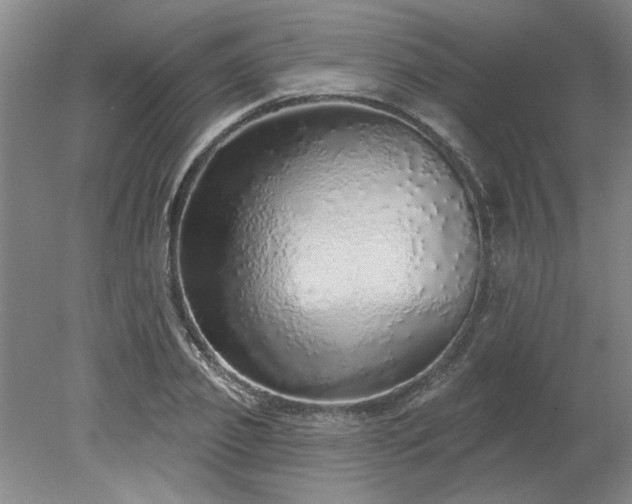 X0000078270933200611101104