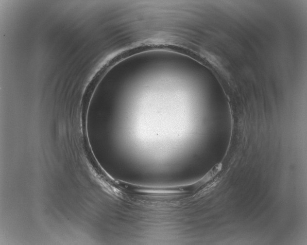 X0000078270934200611101104