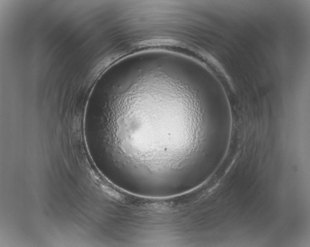 X0000078270937200611101104