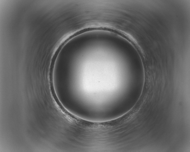 X0000078270943200611101104