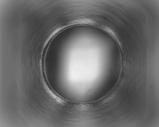 X0000078270947200611101104