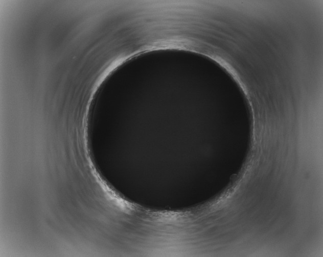 X0000078270949200611101104