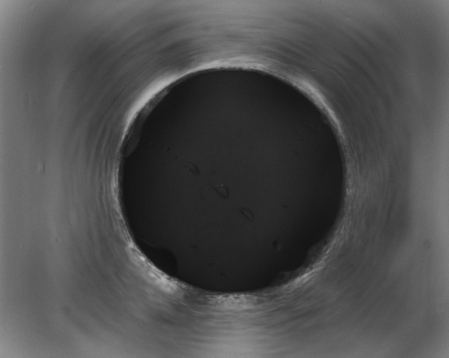 X0000078270952200611101104