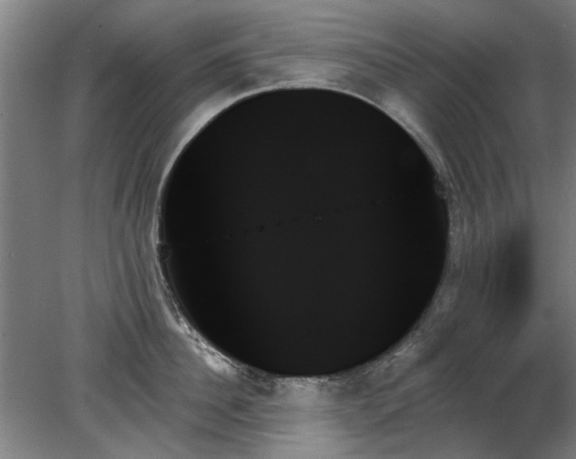 X0000078270956200611101104
