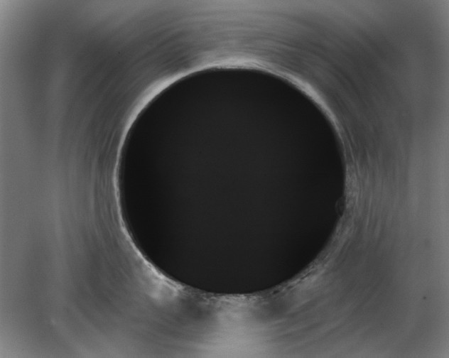 X0000078270959200611101104