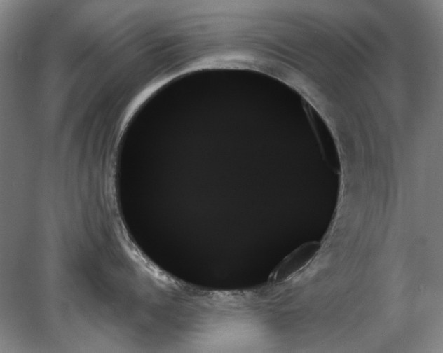 X0000078270960200611101104