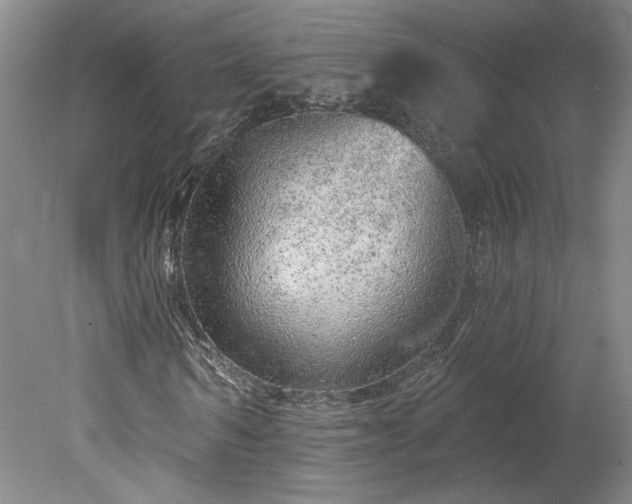 X0000078270962200611101103