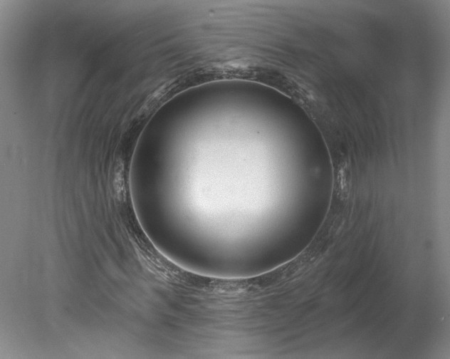 X0000078270963200611101103
