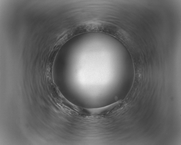 X0000078270964200611101103