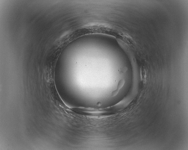 X0000078270965200611101103