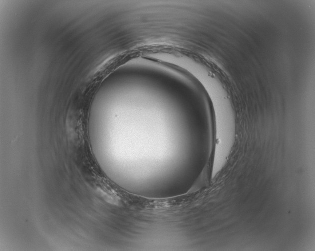X0000078270968200611101103