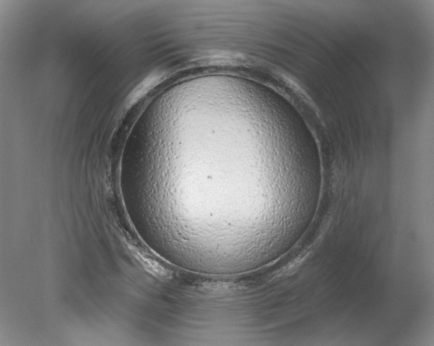 X0000078270970200611101103